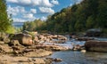 View of Cheat River rapids near Albright