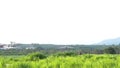 View of a chemical factory with smoking chimneys in the middle of a green rice field in the early morning ~ Factory pipes pollutin