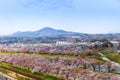 View of Cherry Blossom or Hitome Senbon Sakura festival at Shiroishi riverside and city, Funaoka Castle Ruin