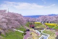 View of Cherry Blossom or Hitome Senbon Sakura festival at Shiroishi riverside, Funaoka Castle Ruin Park, Sendai, Miyagi, Japan Royalty Free Stock Photo