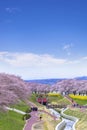 View of Cherry Blossom or Hitome Senbon Sakura festival at Shiroishi riverside, Funaoka Castle Ruin Park, Sendai, Miyagi, Japan