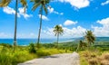 View from Cherry Tree Hill to tropical coast of  caribbean island Barbados Royalty Free Stock Photo