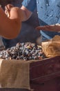 View of chestnuts roasted in coal, on sale counter top