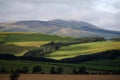 View of the Cheviot Hills