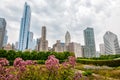 View of Chicago cityscape with skyscrapers from Millenium Park in cloudy day, USA Royalty Free Stock Photo