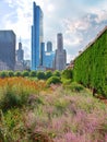 View of Chicago from Grant Park Royalty Free Stock Photo