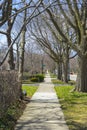 Chicago rowhouse neighborhood