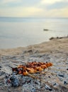 View of chicken skewers on wooden skewers, grilled on a grill over the coals from a fire on the background of the sandy bank