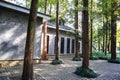 View of chinese house in forest