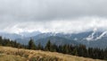 The view on Chornohirsky ridge in snow in the Carpathian mountains, Ukraine.