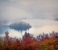 View of church of Assumption of Maria on lake Bled Royalty Free Stock Photo