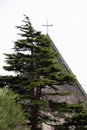 Church Our Lady of Dolours in Dublin