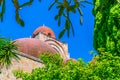 View of the Church of St. John of the Hermits in Palermo, Sicily, Italy