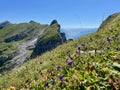 View of the Churfirsten range from the summit of Leistchamm, St. Gallen, Switzerland. Royalty Free Stock Photo