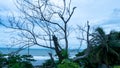 THE VIEW OF CIDORA RANCABUAYA BEACH