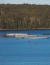 View of circle sea fish farm cages and round fishing nets, farming salmon, trout and cod, feeding the fish a forage, with Royalty Free Stock Photo