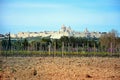 Vineyard and Citadel, Mdina.