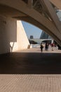 View of the City of Arts and Sciences in Valencia, a modern architectural complex and symbol of the Spanish city Royalty Free Stock Photo