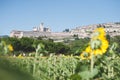 View of the city of Assisi, Umbria, Italy Royalty Free Stock Photo