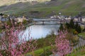 View at the city Bernkastel-Kues and the river Moselle, Germany Royalty Free Stock Photo