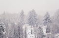 View on city cemetery in heavy snowing day - image Royalty Free Stock Photo