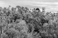 View of the city of Elche, Spain; black and white image Royalty Free Stock Photo
