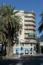 View of the city of Elche, listed as a UNESCO world heritage site due to palm groves Royalty Free Stock Photo