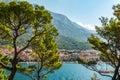 View of the city of Makarska through green pine trees. Croatia