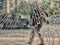 View of city and people through cracked glass