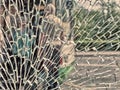 View of city and people through cracked glass