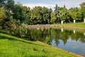 View of the city pond with a green shore, trees, wooden piles and their beautiful reflections in the water Royalty Free Stock Photo