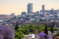 View of the city of Queretaro Mexico aqueduct with jacaranda tree Royalty Free Stock Photo