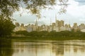 view of the city of sÃ£o paulo metropolis full of skyscrapers and beautiful parks