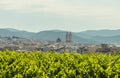 View on the city Sant Pere de Ribes, Garraf, Catalonia