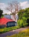 View of the city of Suzdal. Russia.