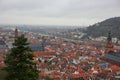 View of the city Heidelberg