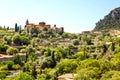 View on city Valldemossa with traditional flower decoration, famous old mediterranean village of Majorca. Balearic