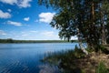 View of the clear forest lake. Lake Moshno. Pskov region