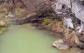 View from the clear water bridge on Brestova river