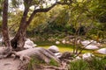 Mossman Gorge Swimming Hole