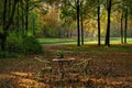 View of a clearing in the forest it is autumn and the foliage turns red, in the foreground two chairs and a table with two bottles Royalty Free Stock Photo