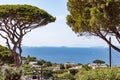 View from a cliff on the island of Capri, Italy Royalty Free Stock Photo