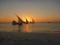 Sails at sunset Royalty Free Stock Photo