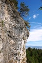 View of the cliff and pine trees on a sunny day in the ski resort of Bansko.