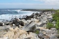 View of cliffs and blowhole in La Espanola island Royalty Free Stock Photo