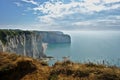 View of the cliffs of Etretat in Normandy in summer Royalty Free Stock Photo
