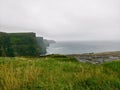 View of the Cliffs of Moher in summer. Cliff in Ireland, on the Atlantic Ocean in County Clare. Royalty Free Stock Photo