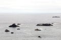 View of the cliffs in the Pacific Ocean. Foggy Oregon.