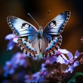 view Close up a butterfly delicately perched on blue flowers in the garden