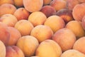 View close-up of fresh peaches. Juicy peaches. A lot of peaches. Heap of peaches.